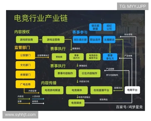 电竞产业崛起：聚焦游戏开发、职业联赛与全球化趋势的未来发展