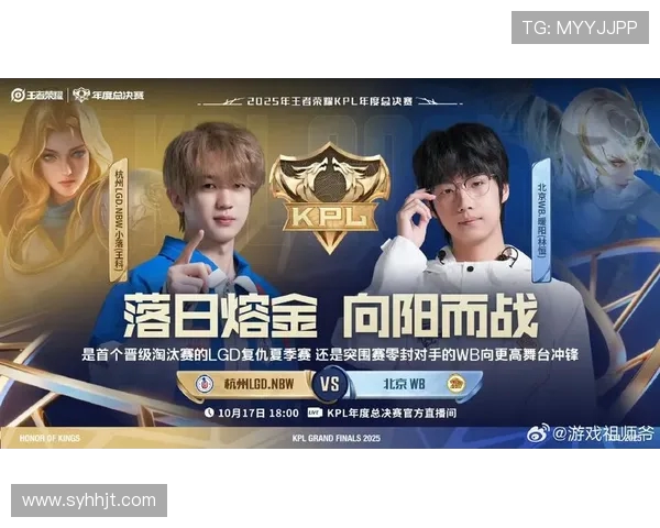 杭州LGDNBW战队崛起之路探索电子竞技荣耀与青春热血 杭州LGDNBW战队崛起之路探索电子竞技荣耀与青春热血